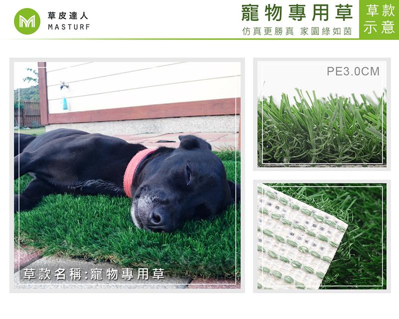【草皮達人】人工草皮PE-3CM 每平方公尺NT800元寵物草皮(價格已含稅，量大可議) 居家 寵物墊