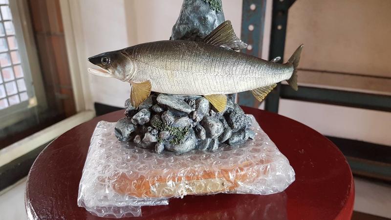 Favorite 日本釣魚情境公司絕版魚類模型 原色魚類擬真模型圖鑑 香魚樹脂完成品