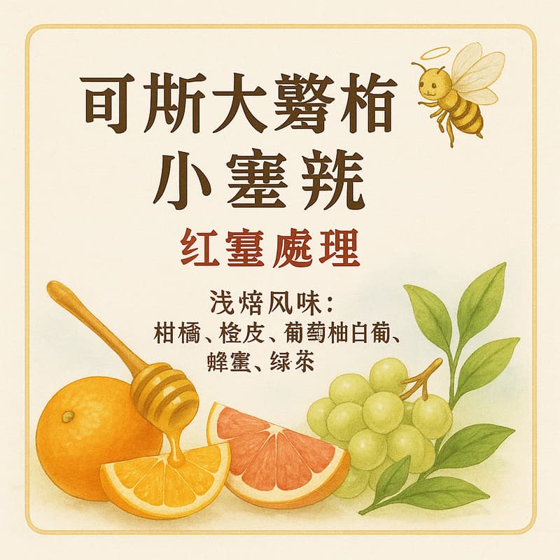 (下單現烘)波特咖啡 哥斯大黎加/艾瑞斯蜜神 紅蜜/天堂 92 莊園/200G/400G