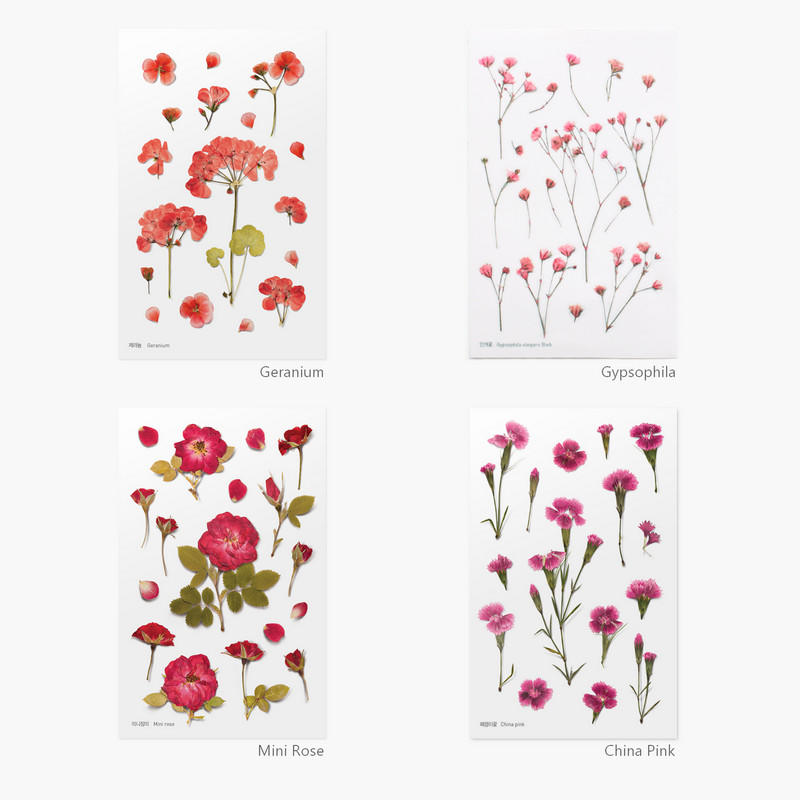 ◎。Bafa。◎ 韓國appree~ Press Flower Sticker 壓花造型裝飾貼紙/日誌貼紙~紅花系列