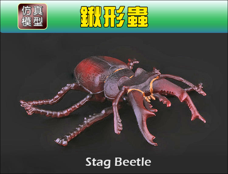 栩栩如生【鍬形蟲 Stag Beetle】優質仿真模型 野生動物 昆蟲_新品現貨 面交 (非papo 史萊奇)