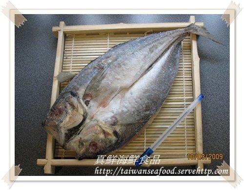 薄鹽(一夜干(大))竹莢魚---真鮮海鮮食品---台南市面交免運費