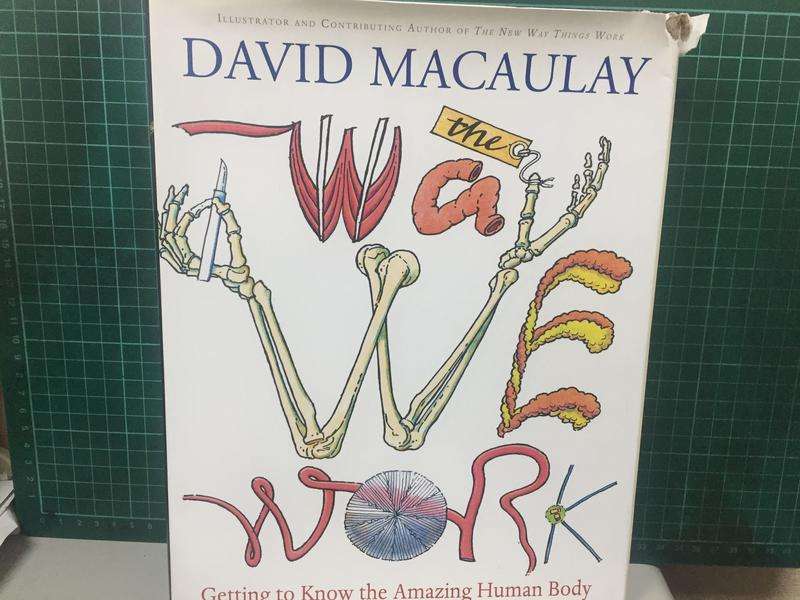 【理悟書坊】《The Way We Work》│9780618233786│David Macaulay