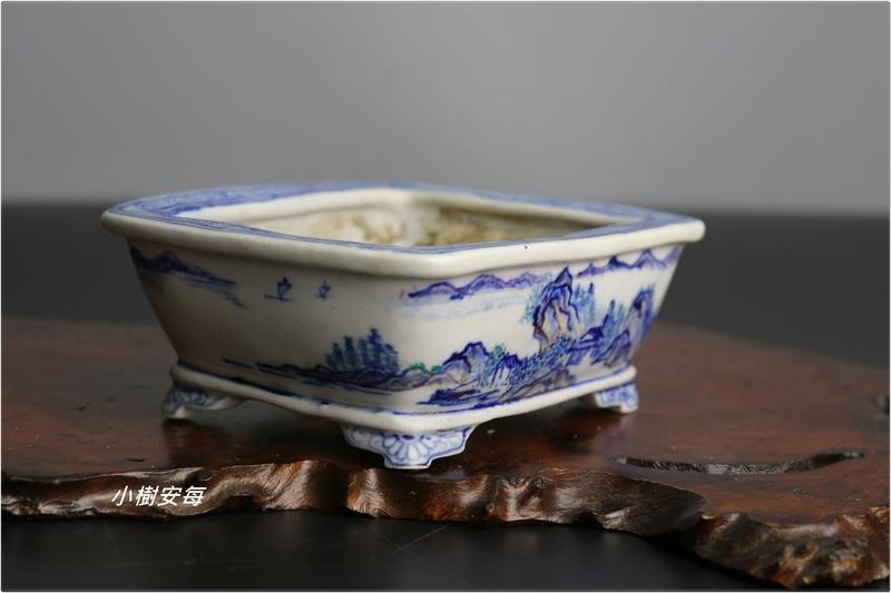 小樹安每】日本盆缽- [谷嵐山] 色繪山水圖長方鉢(時代品) 11cm | 露天