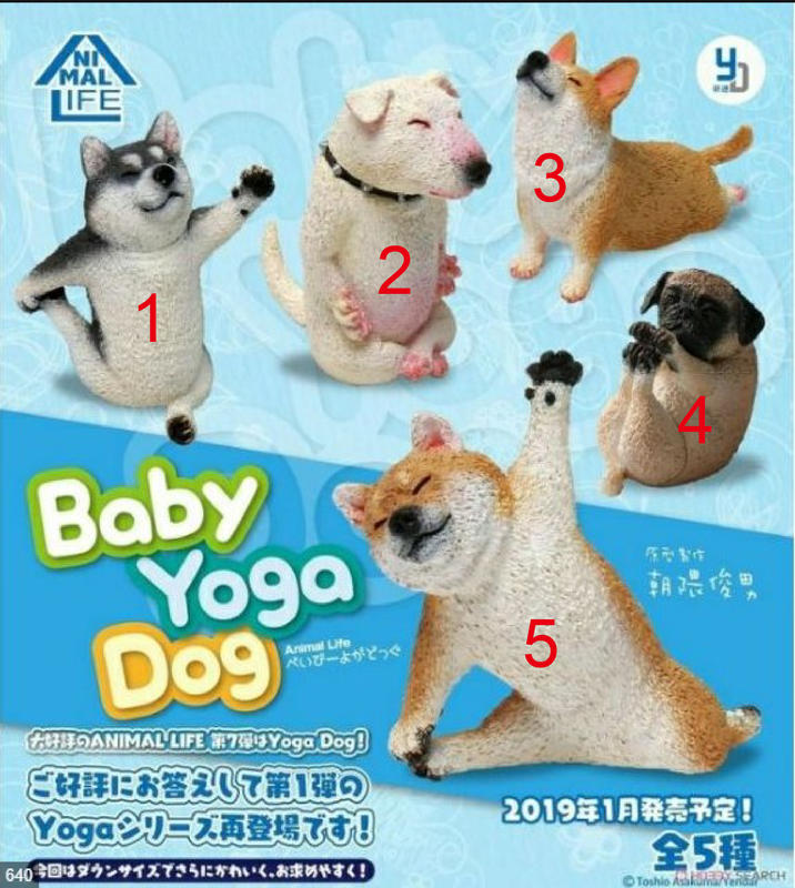 日版已開盒 ANIMAL LIFE 寶貝 瑜伽狗 瑜珈狗 BABY YOGA DOG 按號購買款式