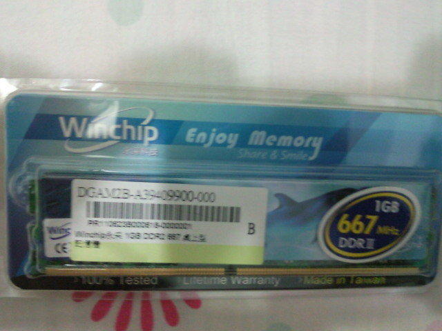 winchip 永采記憶體~1GBDDR2 667規格~全新~