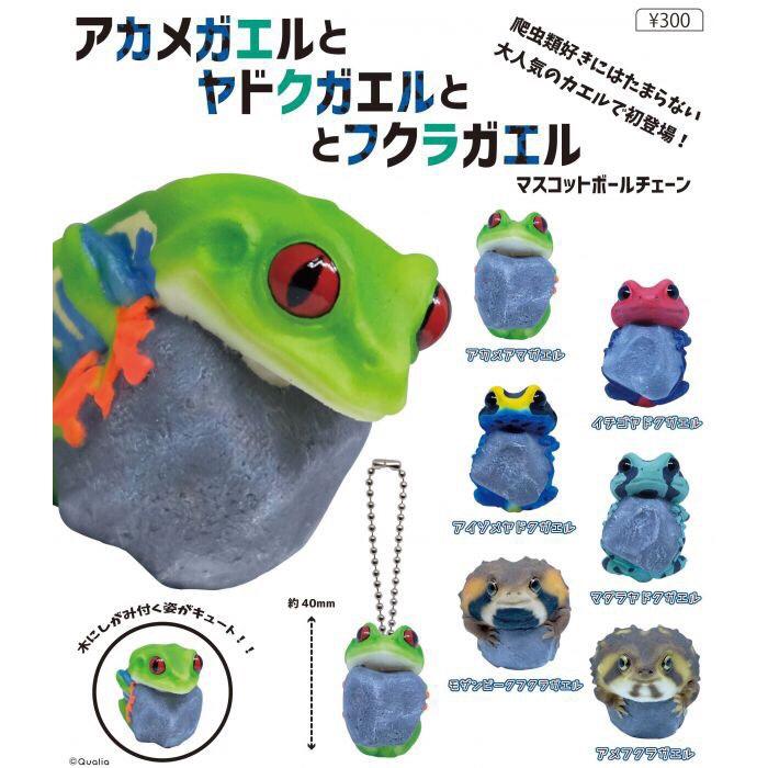 ［現貨］QUALIA 3月 紅眼樹蛙 箭毒蛙 饅頭蛙 青蛙 抱著石頭 珠鍊吊飾 扭蛋轉蛋盒玩 日本 自然生態生物環境