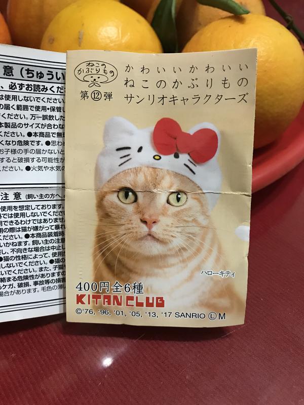 SXS～貓咪頭套第12彈～Hello Kitty 頭套