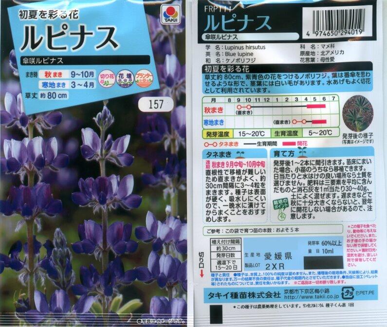【花之鄉小舖】進口高級日本花卉種子--魯冰花  傘開羽扇豆  