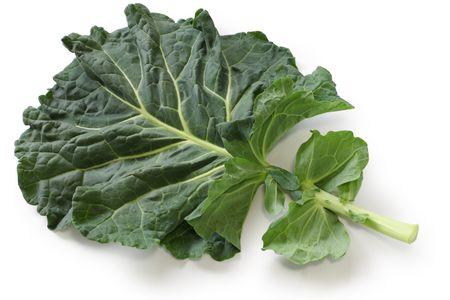 羽衣甘藍種子~超級養生蔬菜Kale