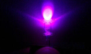 led發光二極管 F5mmUV紫外線圓頭白髮紫光 390-395nm驗鈔機專用 240-00659