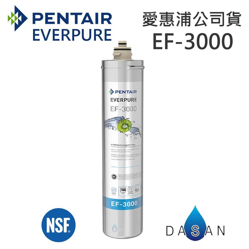 EF-3000 愛惠浦濾芯 贈7-11禮卷$300 EVERPURE 台灣愛惠浦 公司貨 濕式碳纖活性碳 EF3000