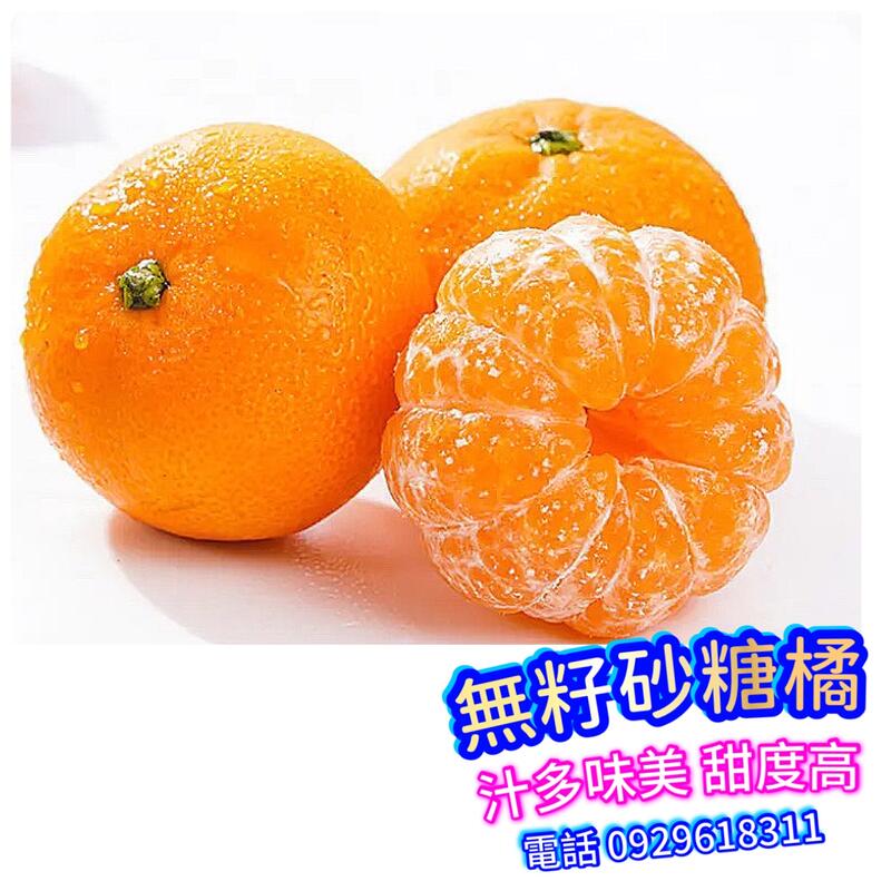 【買5送1】無籽砂糖橘【明年結果】嫁接款