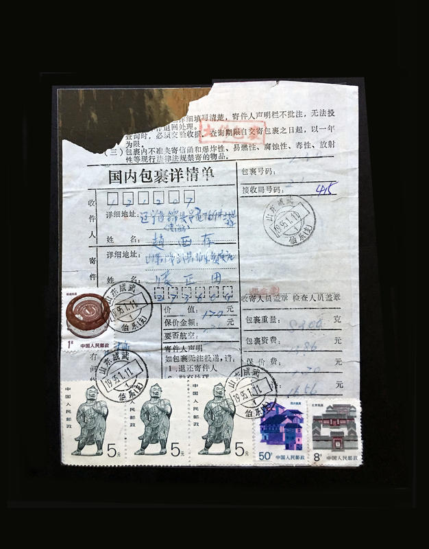 [特殊戳 包單] 1995年山東 成武  伯樂(支) 遞 遼寧 凌海 戳 大陸國內包裹詳情單一件 高額票