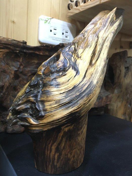 台灣檜木天雕奇木藝品，天然筍殼造型，重油脂。
