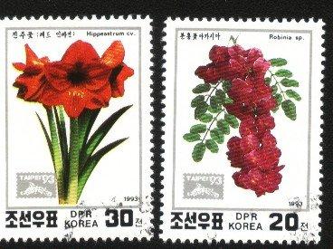 最後一組☆--1993年--------洋槐,花頂紅等朝鮮名花卉----2全---☆§◆-朝鮮 Qg 較缺系列002
