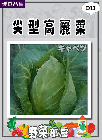 【野菜部屋~】E03 日本尖型高麗菜種子0.45公克 , 口感極佳 , 每包15元~