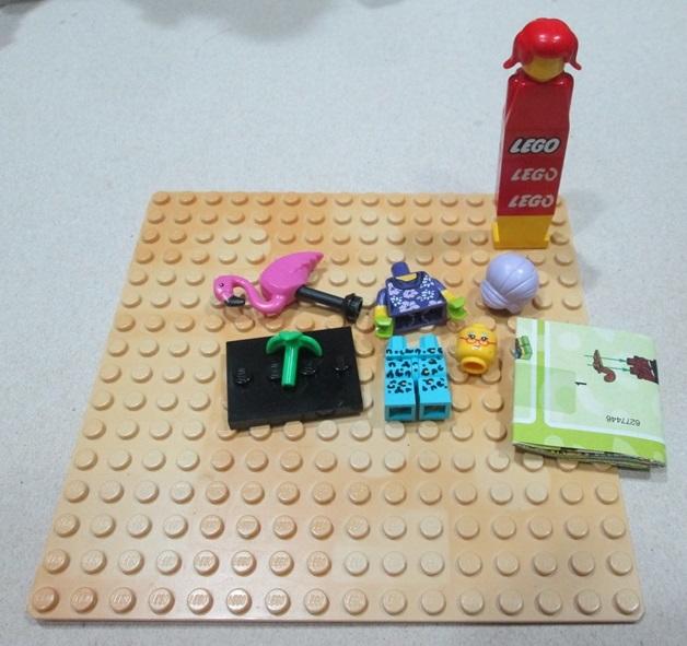 樂高 LEGO  71025  19代 人偶包 火鶴 紅鶴 保育員 如圖  附外袋