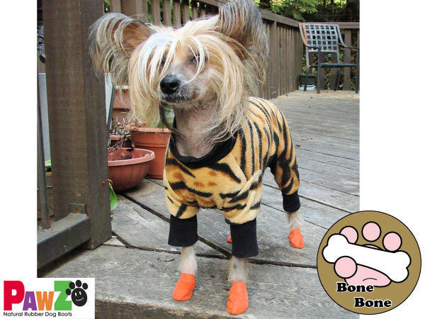 【BoneBone 】Pawz 寵物鞋套/襪套/橡膠鞋套/果凍襪/狗狗襪子/寵物鞋子/分裝1套(共4隻)Tiny~S號