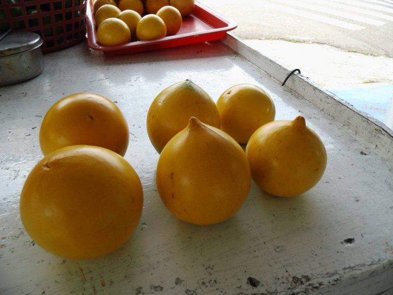 好吃的台灣水果-古坑黃金果7/20上市囉為期一個半月，規格為：每棵約6.5-8兩六棵每箱350元。