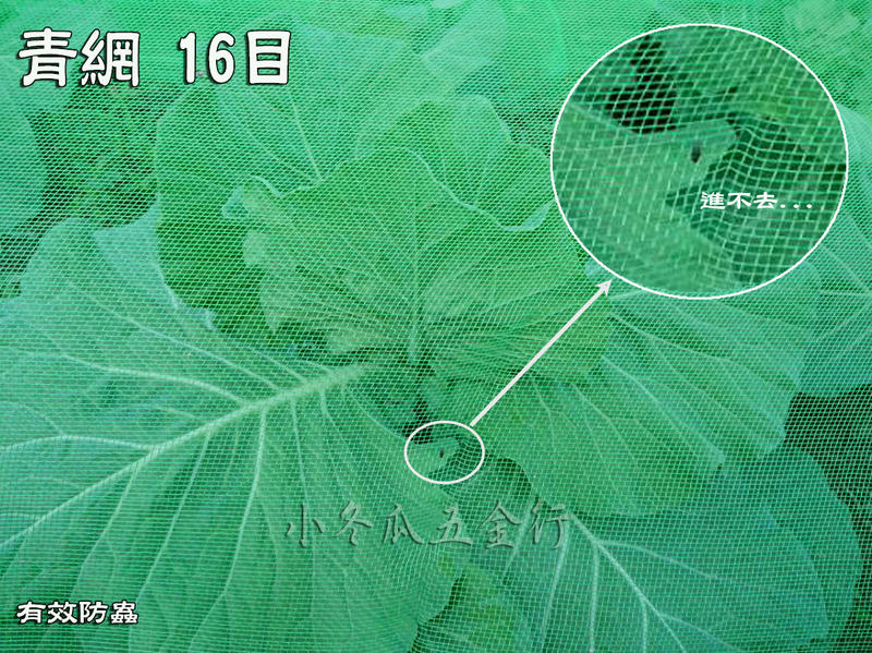 [小冬瓜五金行] (零售) 16目 4尺 /6尺 青網 蔬菜網 防蟲網 防風網 