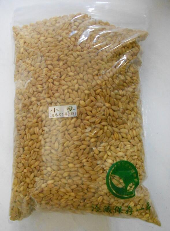貓草種子(小麥草種子) 半斤裝(300g) 澳洲進口黃小麥 95%高發芽率【芽菜種子】 #小麥草種子pchome