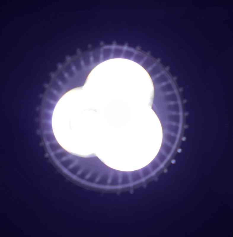 【光力能LED植物燈坊】聚光型5W大功率LED超冷白光20000~25000k小魚缸照明燈
