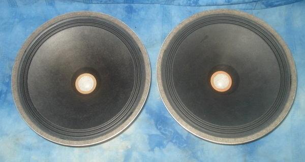 Matched Pair Fullrange 25cm 10" AlNiCo DEW Siemens Klangfilm Speakers西門子全新紙盆漂亮