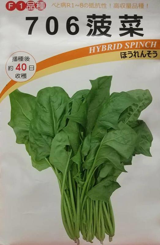 菜根園-日本706菠菜種子一磅400元