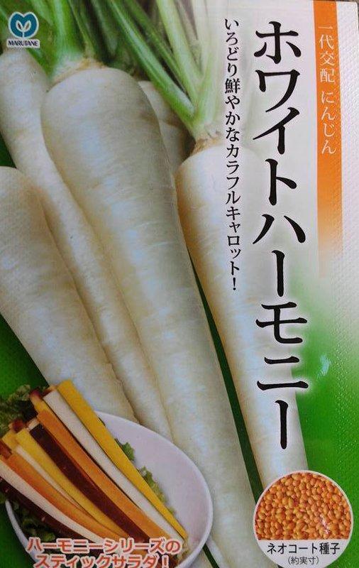 【媽咪蔬果園】雪白胡蘿蔔    種子
