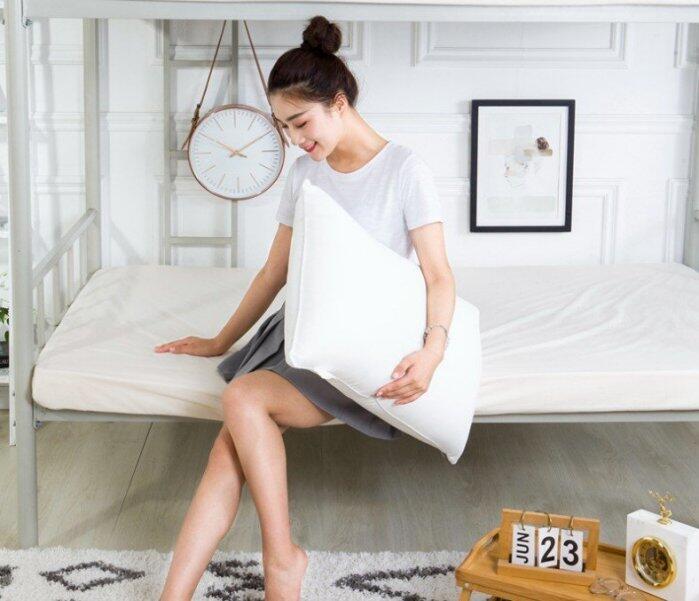 【 百分百台灣製造】日本東麗 抗菌 壓縮枕 枕頭 防螨 抗菌纖維 五星級 純白台灣製 枕心