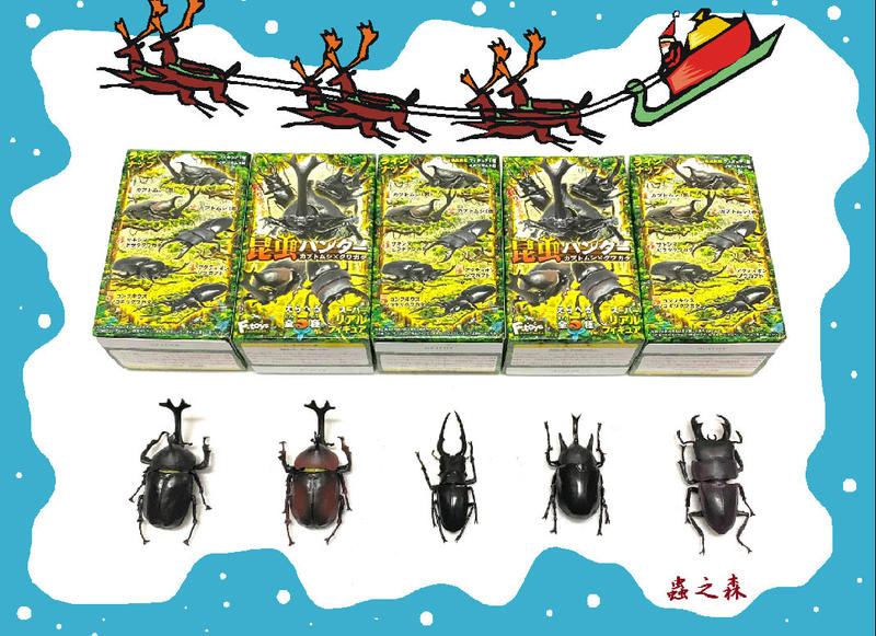 【蟲之森 甲蟲】日版仿真甲蟲玩具,甲蟲全5種(盒裝) 特價 $999