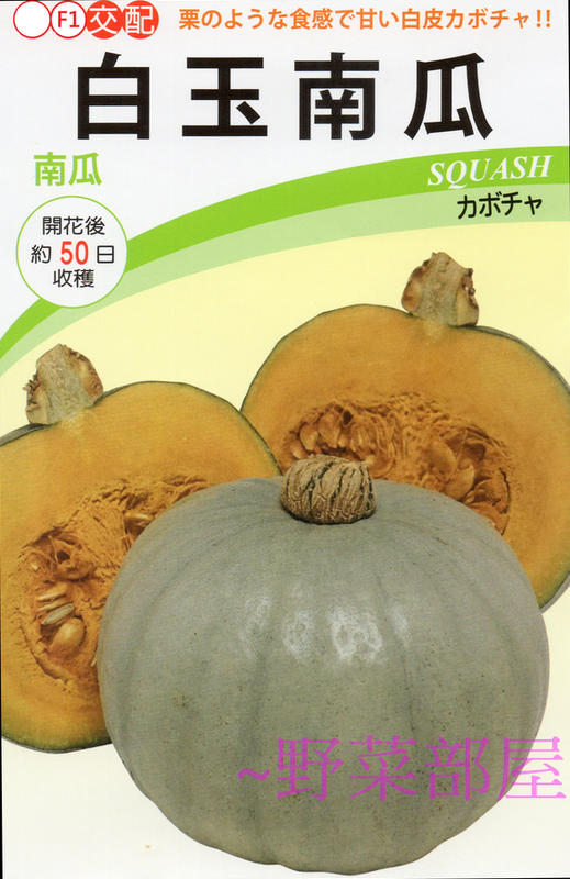 【野菜部屋~中包裝種子】K60 日本白玉南瓜種子7公克(約42粒) , 果香味濃 , 品質佳 , 每包180元~