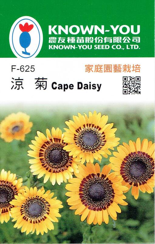 尋花趣 涼菊Cape Daisy(F-625) 每包約100粒 農友種苗花卉種子