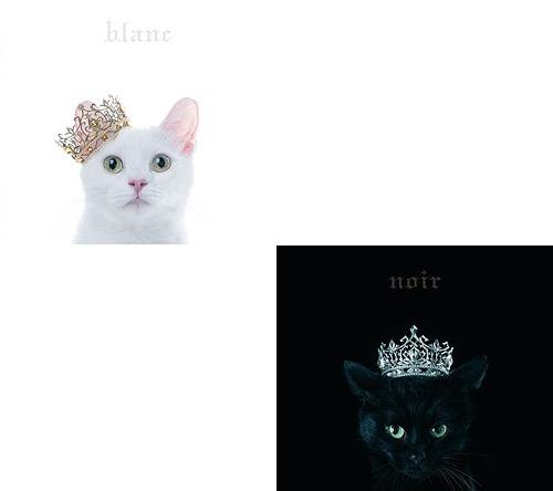 Aimer BEST SELECTION blanc noir CD