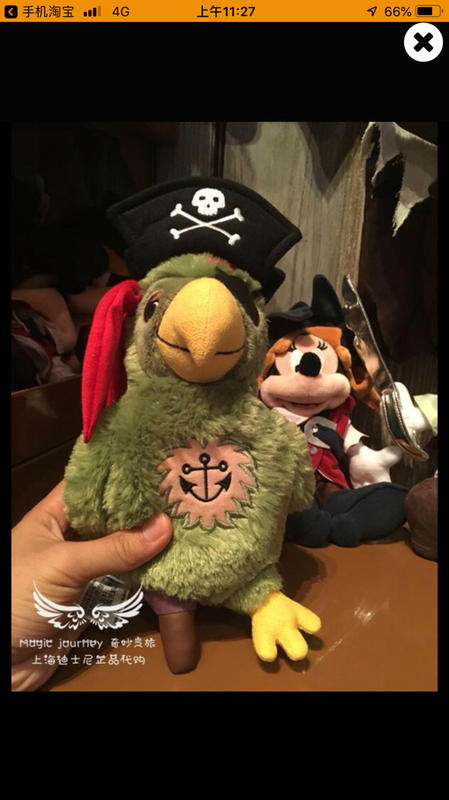 迪士尼代購綠毛鸚鵡+海盜套裝