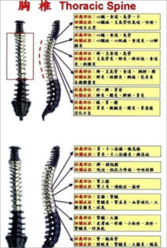 謝慶良教授《美式整脊正骨中醫》125集視頻+電子講義資料