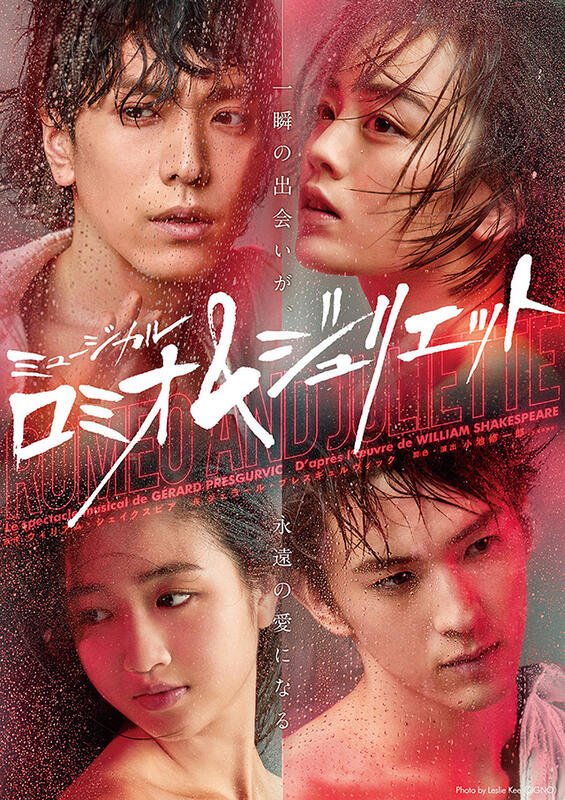 甲斐翔真】ロミオ＆ジュリエット 致せ DVD white 【クリア