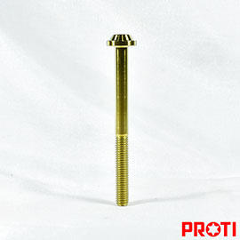 PROTI鈦合金螺絲 M6L70 飛碟頭 13mm寬 金色版(M6L70-CCF01)
