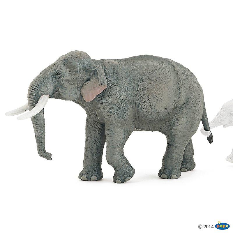 【Good Toy】法國 PAPO 50131 野生動物 亞洲象 Asian elephant