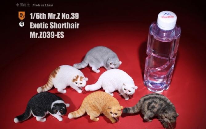【那間模型】MR.Z 朱先生 1:6 加菲貓 貓咪 貓 家貓 模型 公仔 玩具 生日禮物
