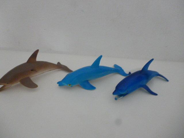 海豚三色組