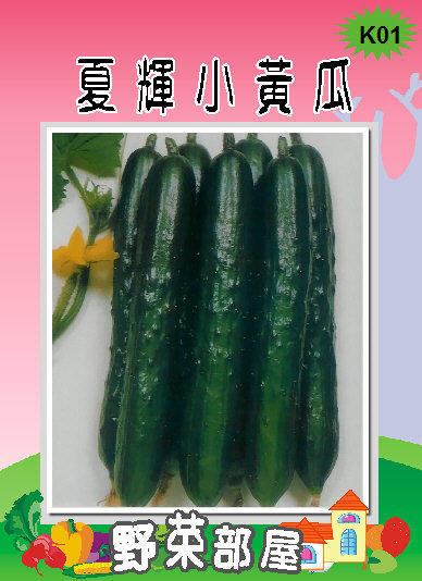 【野菜部屋~】K01 日本夏之輝小黃瓜種子0.4公克, 市場評價極高 , 每包15元~