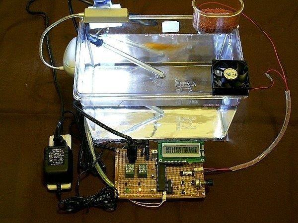 『好人助教』 8051專題製作：溫度控制、電子鐘、自動餵食實習-全自動魚缸 學生專題