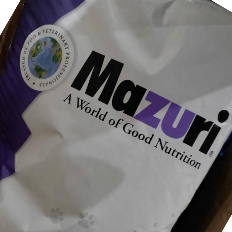 【免運】Mazuri 5MK8 美國食蟲科目飼料 蜜袋鼯 刺蝟 鬆獅 守宮~25磅(約11.35KG)