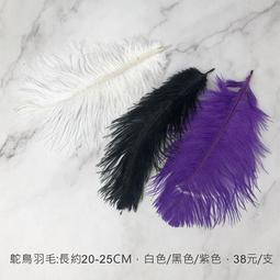 20~25cm 天然鴕鳥羽毛-花束羽毛裝飾 婚禮布置  拍照道具