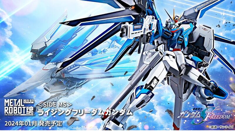 Amazon | 【2個セット】HG ガンプラ SEED FREEDOM ライジング