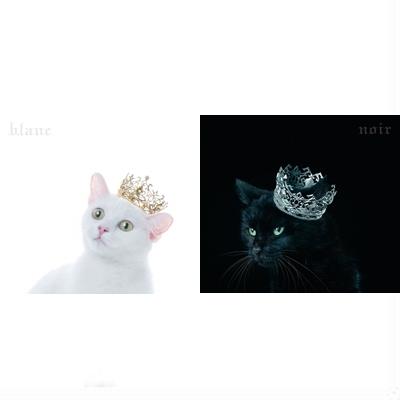 Aimer A BEST SELECTION blanc noir BD