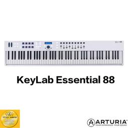 arturia keylab - 人氣推薦- 2024年2月| 露天市集