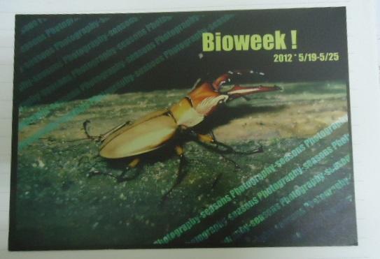 明信片- 空白明信片 bioweek 鍬形蟲 明信片
